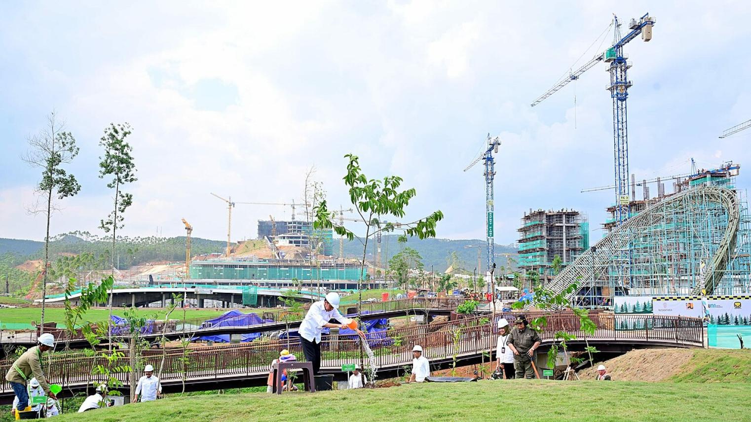 Joko Widodo planting tree in Sumbu Kebangsaan, December 2023